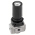 Прецизионный регулятор давления Camozzi PRN304-M08