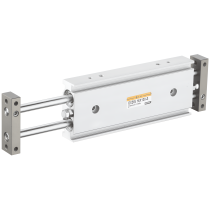 Двухштоковый пневмоцилиндр E.MC EXSW-D-16-125-S