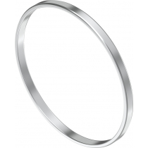 Центрирующее кольцо Festo EAML-95-5,8-95
