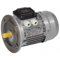 Электродвигатель асинхронный трехфазный ONI DRV056-B2-000-3-3030