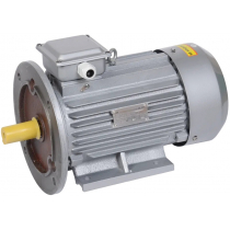 Электродвигатель трехфазный ONI DRV100-L4-004-0-1520