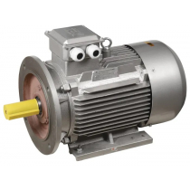 Электродвигатель асинхронный трехфазный ONI DRV160-M4-018-5-1520