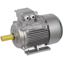 Электродвигатель асинхронный трехфазный ONI DRV160-S2-015-0-3010