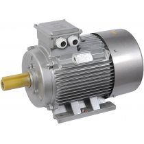Электродвигатель асинхронный трехфазный ONI DRV200-M2-037-0-3010