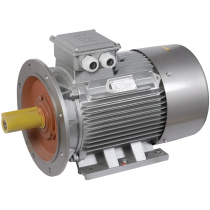 Электродвигатель асинхронный трехфазный ONI DRV250-S4-075-0-1520