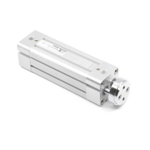 Пневмоцилиндр с направляющими Pemaks PTR-050-SYA-0080