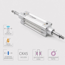 Стандартный пневмоцилиндр Pemaks DMC-100-DYA-0725-R3