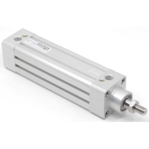 Стандартный пневмоцилиндр Pemaks ISP-032-SYA-0100