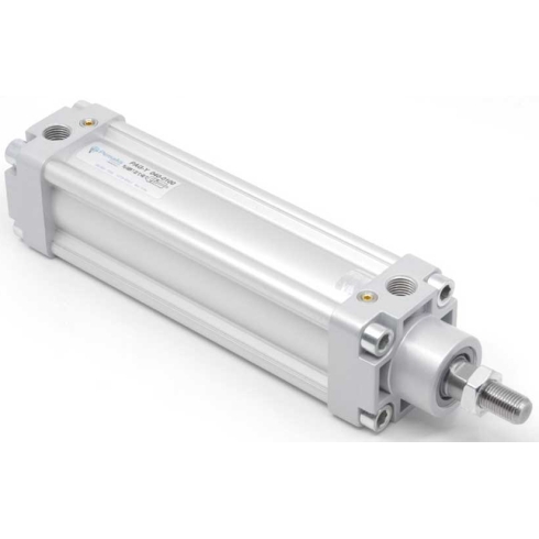 Пневмоцилиндр PAG-100-SN-0220