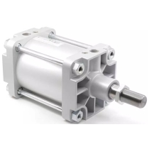 Стандартный пневмоцилиндр Pemaks PMB-125-SYA-0600