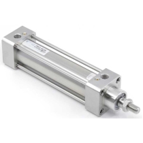 Пневмоцилиндр Pemaks PRS-100-SYA-0650