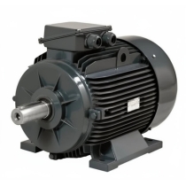 Электродвигатель Gamak GMM2E 355 M 4a B3