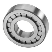 Бессепараторный роликовый подшипник SL045010PPC3 NPT