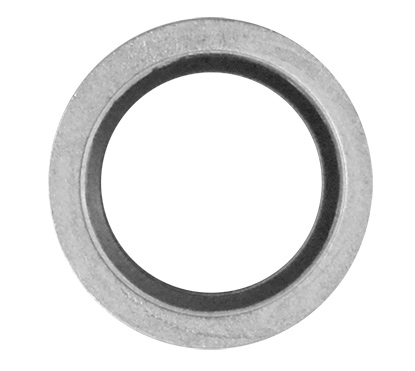 Кольцо резинометаллическое CAST S.p.A. 032009, G1 1/2
