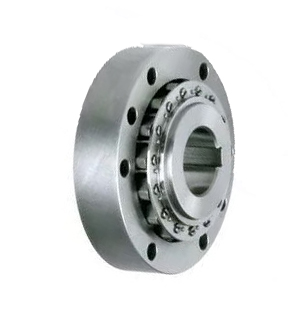 Обгонная муфта ISKRA RSXM66-45